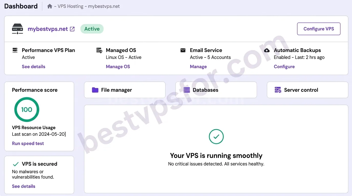 Hostinger VPS Control Panel - Website Management Dashboard 2026